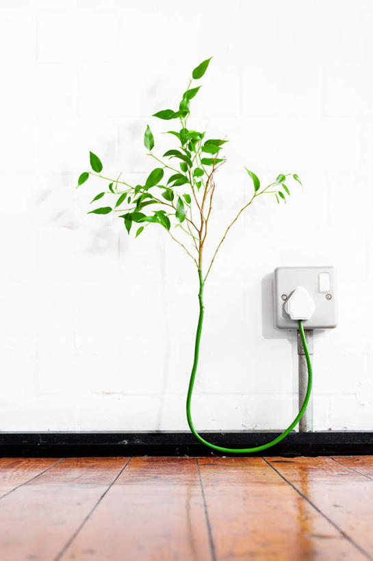 无人,竖图,室内,白天,正面,数码,科技,植物,地板,叶子,阴影,环保,电力,网络,电器,电线,线,墙,茎,绿叶,插座,地面,电能,高光,几何,计算机图形,合成,线路,木地板,墙壁,墙面,绿色,嫩叶,生长,能源,成长,电,电源,电源线,回收,电脑合成图,数码合成图,资源,家用电器,能量,插线板,利用,拖线板,低碳,循环,写实,具体,具象,电源转换器,排插,持续,叶,叶片,彩图