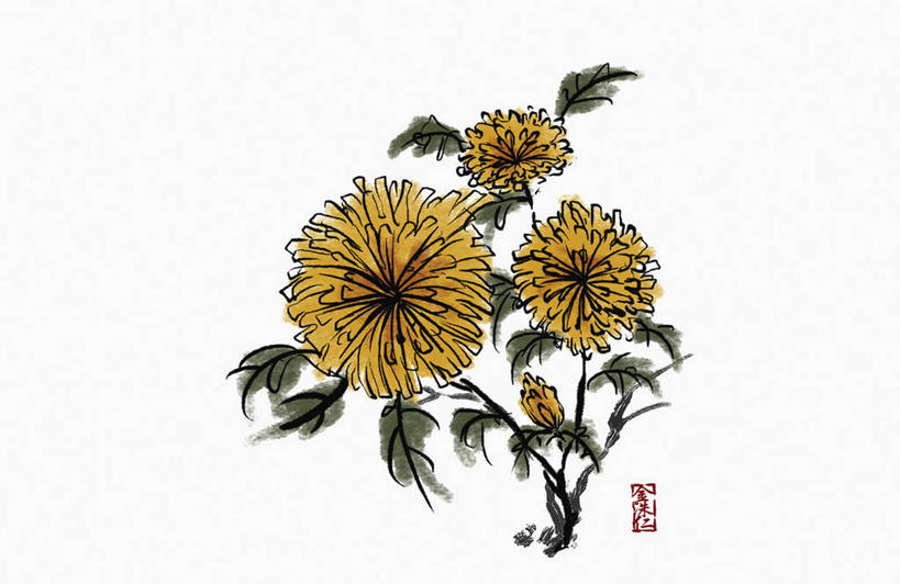 无人,横图,插画,室内,白天,白色背景,正面,爱情,数码,科技,叶子,阴影,盛开,网络,标志,文字,字符,绿叶,高光,几何,计算机图形,合成,花蕾,图画,标识,画,花,花瓣,花朵,鲜花,白色,花苞,花蕊,嫩叶,汉字,菊花,吉祥,电脑合成图,数码合成图,合成图,中文,漫画,写实,具体,具象,高洁,长寿,国文,华文,怀恋,清净,真情,寿客,秋菊,叶,叶片,彩图