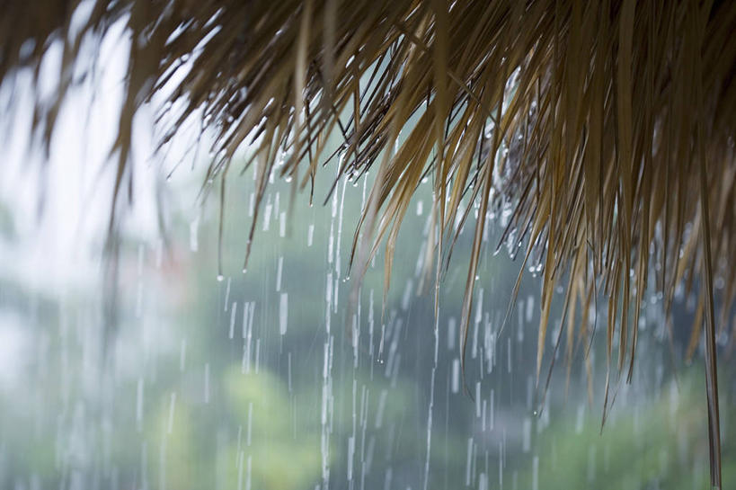 无人,家,横图,室外,特写,白天,正面,美景,水,雨,植物,暴雨,大雨,阴影,飞溅,朦胧,模糊,溅,反射,液体,影子,房屋,屋子,草屋,景观,水滴,住宅,水珠,树,树木,绿色,自然,茅草屋,景色,生长,成长,喷洒,自然风光,彩图,房子,茅舍,茅屋,小屋,强降水,强降雨