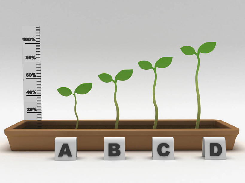 无人,横图,室内,特写,白天,白色背景,正面,植物,叶子,一排,阴影,整齐,反射,测量,英文,标志,文字,纹理,影子,字符,刻度,字母,绿叶,标识,排列,绿色,尺,塑料制品,直尺,嫩叶,摄影,影棚,测量工具,英文字母,尺子,衡量,绘图,队列,比例,秧苗,测绘,肌理,量具,量仪,塑料尺,标度,叶,叶片,叶脉,彩图,影棚拍摄,拍摄