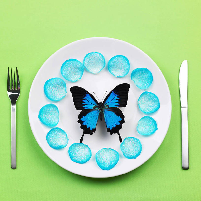 无人,竖图,俯视,室内,特写,白天,蝴蝶,餐具,一排,伸展,张开,展翅,绿色背景,整齐,盛开,翅膀,昆虫,叉子,刀叉,刀子,碟子,盘,花蕾,停留,花,花瓣,花朵,鲜花,排列,三个,一只,蓝色,动物,盘子,碟,花苞,花蕊,摄影,影棚,停止,队列,餐刀,益虫,餐叉,张开翅膀,逗留,停顿,展开翅膀,进餐用具,彩图,高角度拍摄,全身,影棚拍摄,拍摄