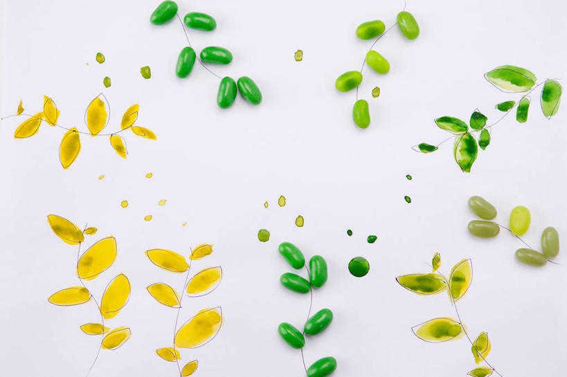 无人,横图,插画,室内,白天,白色背景,正面,数码,科技,叶子,许多,阴影,网络,食品,糖,糖果,甜点,甜品,绿叶,软糖,很多,高光,几何,计算机图形,合成,图画,画,食物,甜食,嫩叶,电脑合成图,数码合成图,合成图,漫画,写实,具体,具象,叶,叶片,彩图