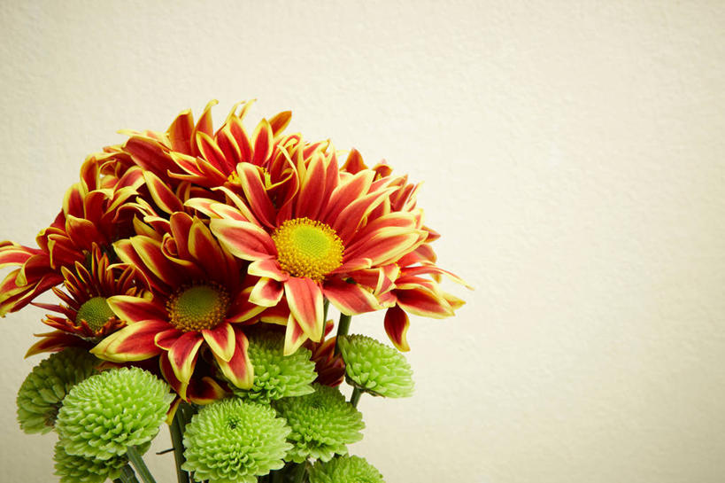 无人,横图,插画,室内,白天,正面,爱情,数码,科技,阴影,反射,网络,影子,高光,几何,计算机图形,合成,图画,画,粉色,黄色,菊花,吉祥,电脑合成图,数码合成图,合成图,漫画,写实,具体,具象,高洁,长寿,怀恋,清净,真情,寿客,秋菊,彩图