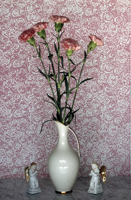 无人,竖图,室内,特写,白天,正面,智慧,热情,壁纸,康乃馨,花瓶,叶子,雕塑,天使,艺术,装饰,盛开,翅膀,雕刻,雕像,陶瓷,墙,绿叶,陶瓷制品,祝福,花蕾,置物架,文化,架子,墙壁,墙面,花,花瓣,花朵,鲜花,一个,插花,瓶子,工艺品,花苞,花蕊,嫩叶,母爱,清纯,单个,纪念,插花艺术,美术,创造,神圣,亲情,主题,善良,创作,陈列架,陈列,想象,信徒,功能,美学,思念,宽容,热恋,真挚,使者,荷兰石竹,搁架,大花石竹,狮头石竹,热心,圣洁,麝香石竹,石竹,香石竹,叶,叶片,墙纸,彩图,魅力