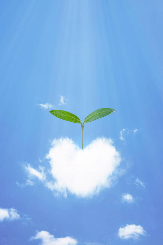 无人,竖图,室内,白天,正面,数码,科技,阴影,生气,环保,光线,网络,影子,云,云朵,高光,几何,计算机图形,合成,云彩,幼苗,蓝色,白云,蓝天,天空,阳光,嫩芽,天,活力,朝气,能源,晴朗,生机,希望,回收,电脑合成图,数码合成图,资源,合成图,利用,低碳,循环,写实,具体,具象,一株,新苗,持续,晴空,彩图