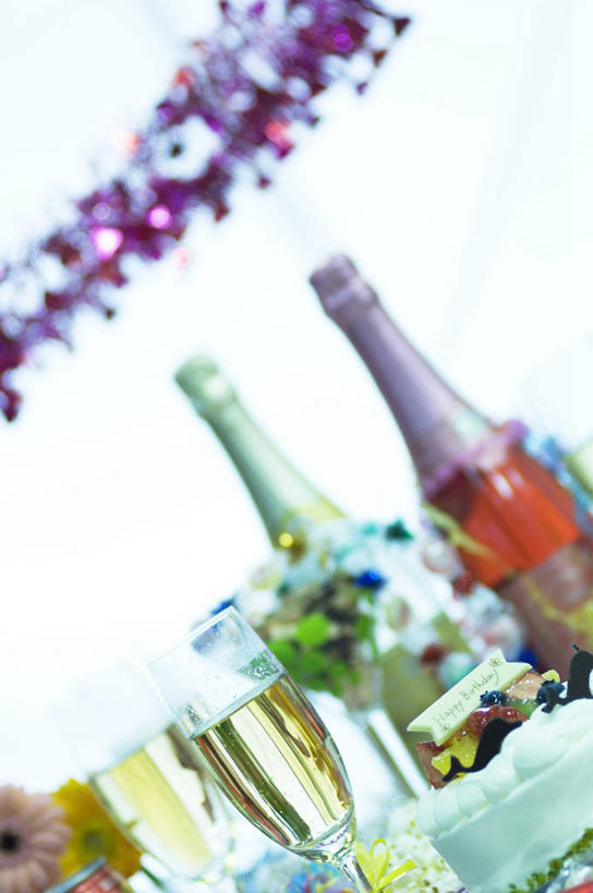 葡萄酒,无人,竖图,室内,特写,白天,正面,奢侈,生日,快乐,植物,餐桌,桌子,杯子,阴影,朦胧,模糊,庆祝,装饰,盛开,反射,高脚杯,盆栽,影子,墙,盆景,浪漫,花蕾,墙壁,墙面,玻璃制品,酒,酒瓶,花,花瓣,花朵,鲜花,饮料,绿色,白色,自然,玻璃瓶,酒杯,瓶子,香槟,花苞,花蕊,诱惑,生长,成长,餐台,华丽,修饰,庆贺,点缀,祝贺,出生,香槟杯,衬托,美观,雅致,雅观,气泡酒,起泡酒,汽酒,诞生,玻璃杯,彩图,高兴,欢笑