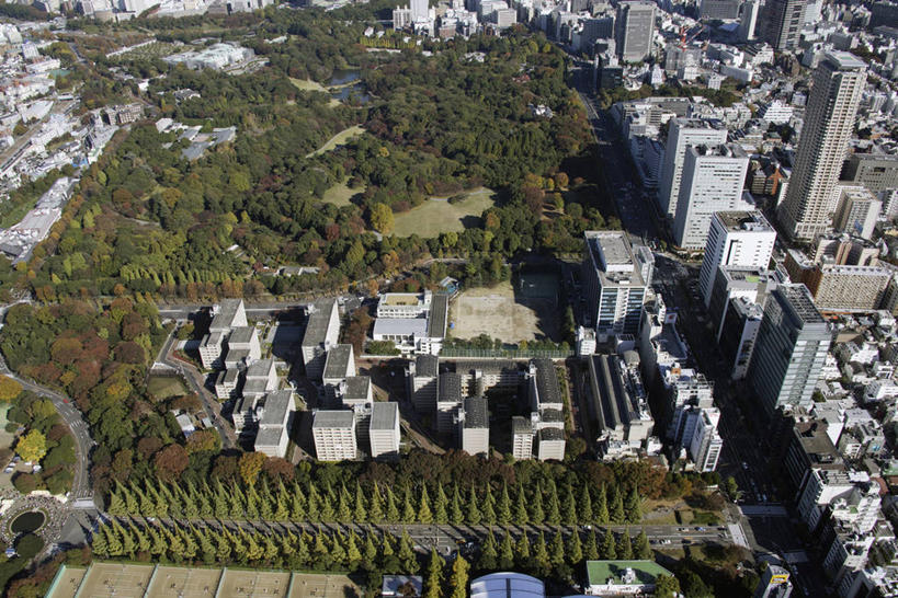 无人,高楼大厦,横图,俯视,航拍,室外,白天,度假,美景,植物,城市风光,标志建筑,城市,大厦,地标,建筑,摩天大楼,东京,日本,亚洲,一排,阴影,整齐,并列,并排,光线,影子,景观,建筑群,青山,娱乐,建设,树,树木,排列,绿色,阳光,自然,享受,休闲,景色,放松,生长,成长,鸟瞰,队列,平行,东亚,本州,关东地方,本州岛,日本国,东京都,县厅,港区,东京市,彩图,高角度拍摄,大楼,高层建筑,高楼,摩天楼