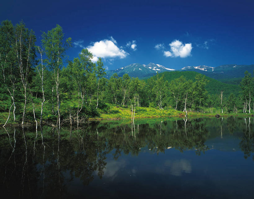 无人,横图,室外,白天,正面,旅游,度假,火山,美景,森林,树林,植物,长野县,日本,亚洲,阴影,波纹,光线,影子,池塘,景观,水池,云,云朵,涟漪,云彩,娱乐,树,树木,蓝色,绿色,白云,倒影,蓝天,水纹,天空,阳光,自然,波浪,天,享受,休闲,景色,放松,生长,晴朗,成长,倒映,自然风光,东亚,本州,本州岛,日本国,中部地方,水晕,长野,乘鞍岳,反照,活火山,晴空,彩图