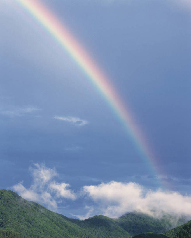 无人,竖图,室外,白天,仰视,旅游,度假,彩虹,美景,山,山脉,树林,植物,秋田县,日本,亚洲,阴影,光线,影子,景观,山峰,云,云朵,山峦,云彩,娱乐,树,树木,蓝色,绿色,白云,蓝天,天空,阳光,自然,群山,天,享受,休闲,景色,放松,生长,晴朗,成长,自然风光,东亚,本州,本州岛,日本国,秋田,东北地方,虹,虹桥,七彩虹,晴空,天虹,彩图,低角度拍摄,鹿角市
