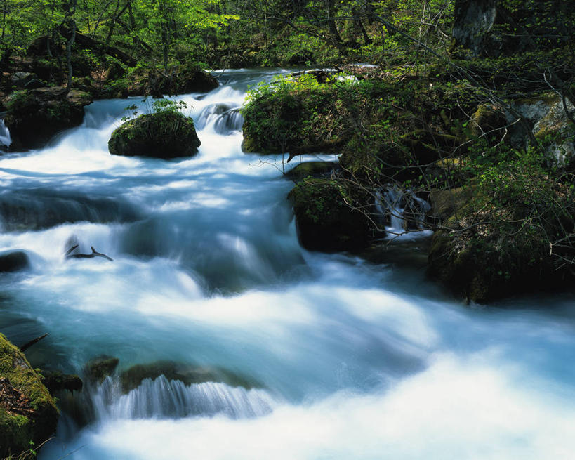无人,横图,俯视,室外,白天,长时间曝光,旅游,度假,河流,石头,美景,水,植物,日本,亚洲,飞溅,朦胧,模糊,溅,石子,液体,河水,景观,水滴,水流,青苔,苔藓,娱乐,水珠,树,树木,绿色,小溪,自然,溪水,享受,休闲,景色,放松,生长,成长,喷洒,自然风光,曝光,东亚,本州,本州岛,日本国,青森,青森县,东北地方,奥入濑溪谷,十和田市,十和田,石块,岩石,彩图,高角度拍摄