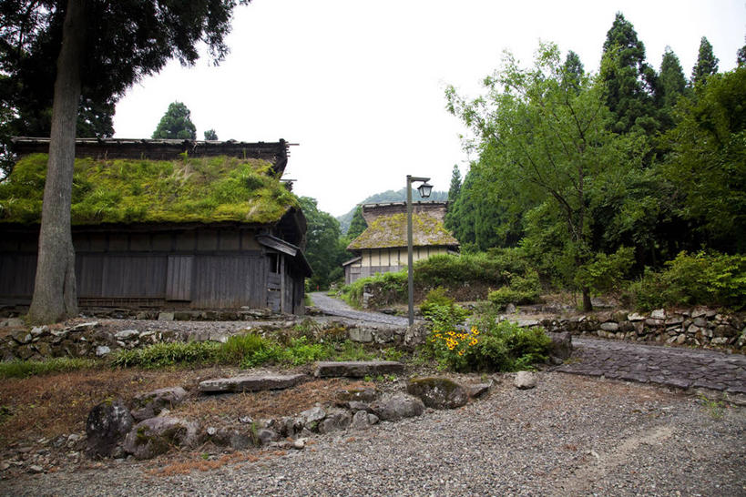 无人,横图,室外,白天,正面,旅游,度假,草地,草坪,石头,美景,树林,植物,道路,路,路灯,照明,日本,亚洲,阴影,光线,石子,影子,景观,小路,灯光,交通,千叶县,娱乐,灯,草,树,树木,蓝色,绿色,蓝天,天空,阳光,自然,天,享受,休闲,景色,放松,生长,晴朗,成长,照亮,照明设备,自然风光,东亚,本州,万里无云,关东地方,本州岛,日本国,千叶,石块,岩石,晴空,晴空万里,彩图,富津,富津市