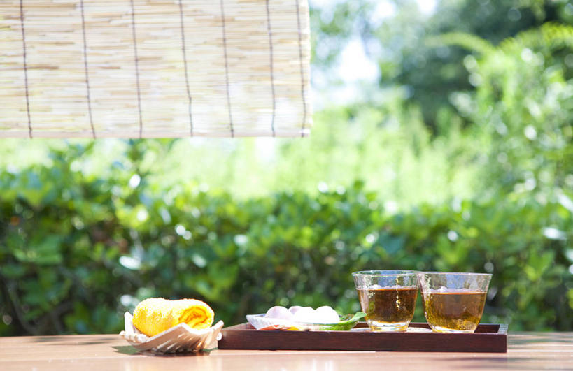 无人,横图,室外,白天,正面,幸福,树林,植物,茶,窗帘,杯子,餐具,阴影,朦胧,模糊,装饰,光线,碟子,纺织物,盘,影子,茶叶,娱乐,树,树木,绿色,阳光,自然,帘子,盘子,水杯,碟,毛巾,清洁,享受,休闲,温馨,遮阳,放松,乐趣,生长,大麦茶,成长,保暖,华丽,修饰,点缀,大麦,提神,舒适,醒脑,透气,防水,衬托,美观,雅致,雅观,储水,耐磨,吸水,茶杯,彩图