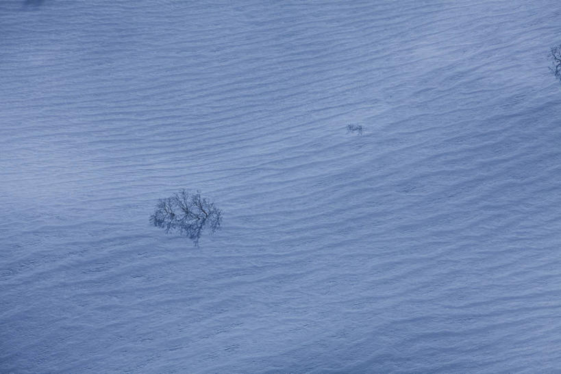 无人,横图,俯视,航拍,室外,白天,美景,雪,植物,大雪,长野县,日本,亚洲,一棵,积雪,景观,雪景,冬季,冬天,树,树木,绿色,自然,景色,寒冷,生长,成长,鸟瞰,自然风光,东亚,本州,本州岛,日本国,中部地方,长野,严寒,彩图,高角度拍摄,千叠敷