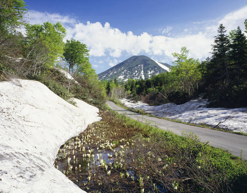 无人,横图,室外,白天,正面,旅游,度假,石头,美景,山,雪,雪山,植物,大雪,道路,路,日本,亚洲,阴影,光线,石子,影子,冰,积雪,景观,山峰,雪景,云,云朵,冬季,冬天,小路,草药,药草,交通,山峦,云彩,娱乐,中药,树,树木,蓝色,绿色,白云,蓝天,天空,阳光,自然,天,享受,休闲,景色,放松,寒冷,生长,晴朗,成长,冰冷,有毒,自然风光,药材,中草药,东亚,中药材,本草,本州,本州岛,日本国,青森,青森县,东北地方,严寒,冰凉,酷寒,凛冽,凛凛,极冷,臭菘,石块,岩石,晴空,彩图