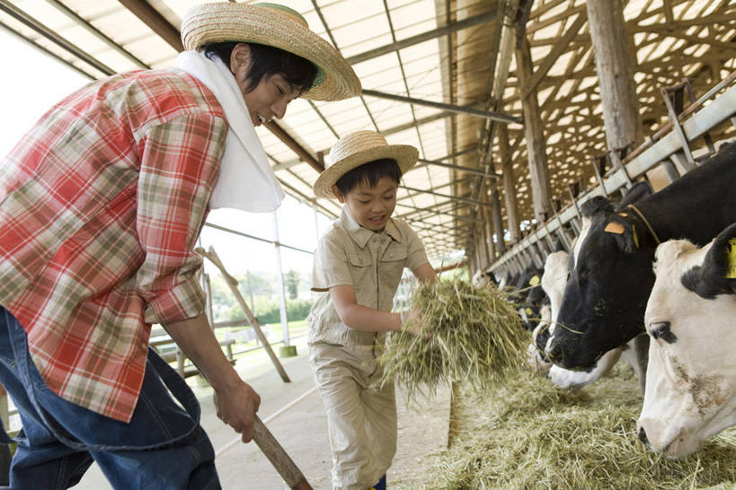 东方人,儿童,中年人,两个人,家庭,父亲,儿子,农民,农场,站,横图,室外,白天,正面,纯洁,畜牧业,牧场,草地,草坪,植物,牛,帽子,金属制品,亚洲,握,花纹,服装,金属,草帽,纺织物,工具,乳牛,拿,拿着,注视,休闲装,黄种人,草,小孩,衣服,绿色,动物,毛巾,低头,观察,看,清洁,站着,休闲,温暖,温馨,父子,一家人,休闲服,家畜,父爱,可爱,童年,童趣,握着,服饰,牲畜,观看,保暖,和睦,察看,耙子,关注,斑纹,童真,透气,烂漫,无邪,农具,防水,畜牧,牧业,垂头,耕具,储水,耐磨,吸水,天真,男孩,男人,男性,中年男性,亚洲人,孩子,奶牛,佃农,农场主,农夫,农工,乡下人,小农,庄稼人,站立,半身,彩图,融洽,男生