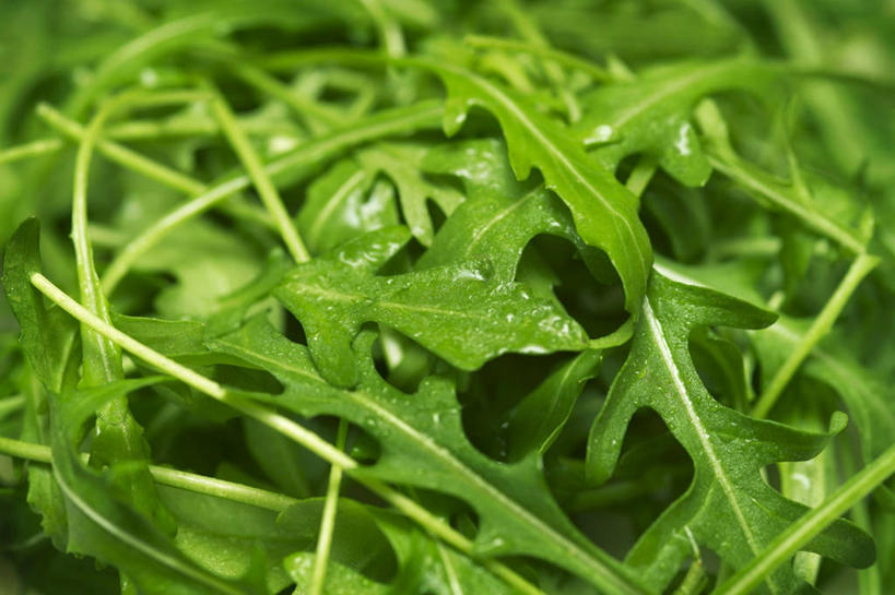 无人,横图,俯视,室内,特写,白天,餐桌,桌子,蔬菜,叶子,一堆,阴影,堆叠,堆积,朦胧,模糊,新鲜,反射,影子,生食,蔬菜沙拉,沙拉,食品,绿叶,色拉,沙律,食物,绿色,嫩叶,有机食品,绿色食品,餐台,色拉酱,堆,千岛酱,芝麻菜,德国芥菜,火箭生莱,芸芥,芝麻叶,紫花南芥,叶,叶片,彩图,高角度拍摄