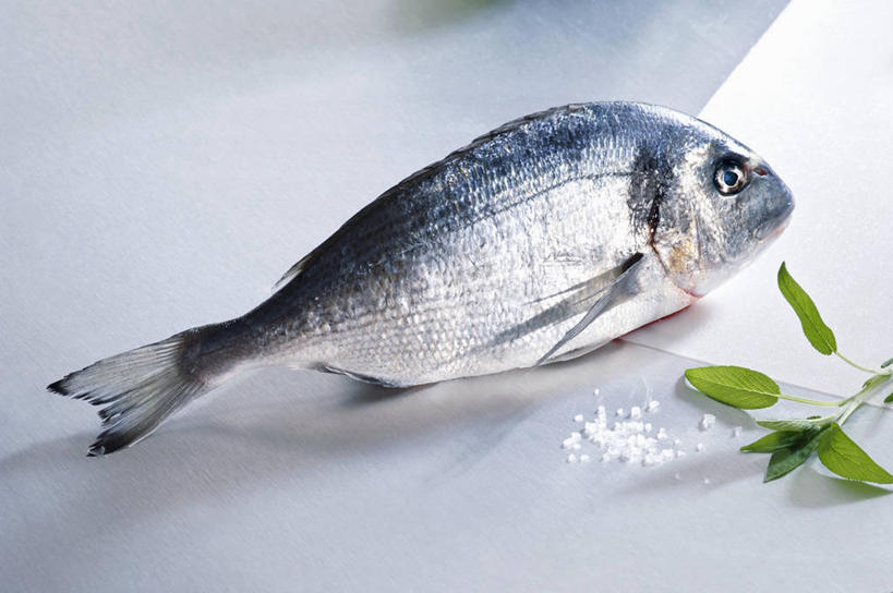 海鲜,无人,家庭,横图,俯视,室内,特写,白天,白色背景,智慧,餐桌,桌子,叶子,一条,阴影,反射,鱼,影子,调料,盐,绿叶,调味品,鲷鱼,调味料,水产,鱼类,食盐,海洋生物,嫩叶,摄影,影棚,餐台,鲷,加吉鱼,铜盆鱼,鼠尾草,水生动物,海产品,水生物,海底动物,班加吉,加真鲷,理性,叶,叶片,彩图,高角度拍摄,全身,影棚拍摄,拍摄