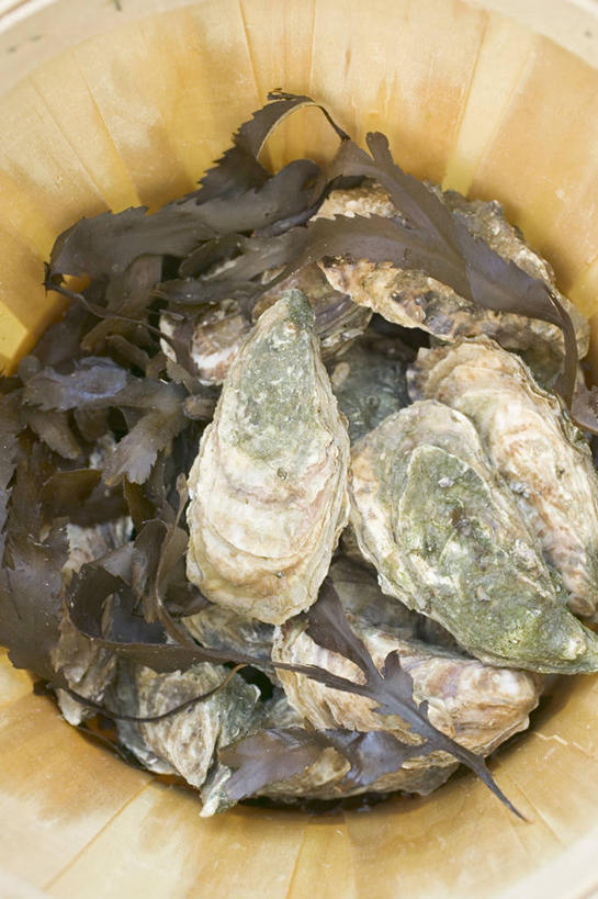 海鲜,无人,交叉,竖图,俯视,室内,特写,白天,餐桌,桌子,竹子,一堆,许多,阴影,堆叠,堆积,竹制,编织,反射,篮子,影子,牡蛎,很多,水产,海洋生物,一个,竹篮,单个,餐台,竹条,堆,生蚝,交织,竹制品,水生动物,海产品,水生物,海底动物,穿插,彩图,高角度拍摄