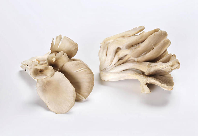 无人,横图,俯视,室内,特写,白天,白色背景,餐桌,桌子,蔬菜,许多,阴影,新鲜,反射,影子,菌菇,蘑菇,食品,菌类,食物,食用菌,摄影,有机食品,绿色食品,影棚,餐台,彩图,高角度拍摄,影棚拍摄,拍摄