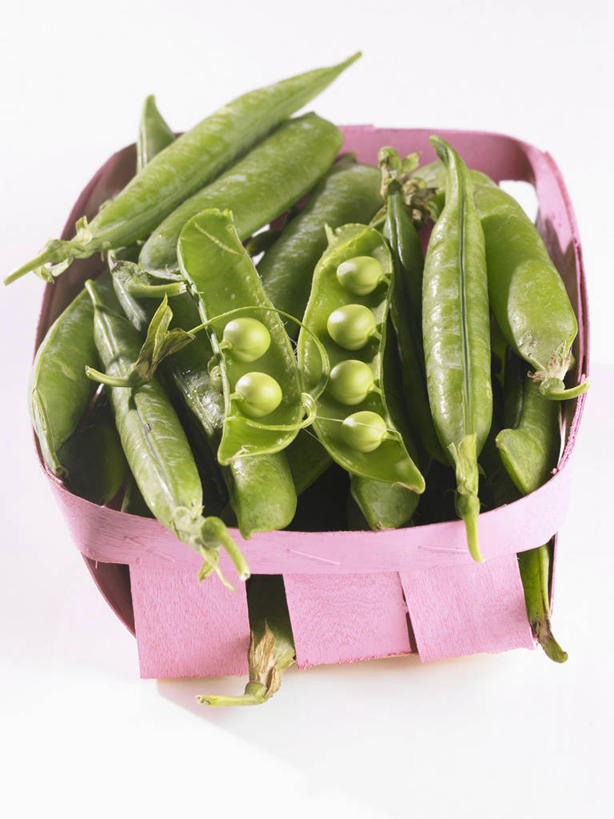 无人,交叉,竖图,俯视,室内,特写,白天,白色背景,植物,竹子,蔬菜,一堆,许多,阴影,堆叠,堆积,竹制,新鲜,编织,反射,篮子,影子,豆类,豆子,豌豆,食品,荷兰豆,食物,一个,粉色,竹篮,摄影,有机食品,绿色食品,影棚,单个,竹条,堆,交织,竹制品,雪豆,豆科,寒豆,毕豆,麻累,国豆,小寒豆,麦豌豆,穿插,彩图,高角度拍摄,影棚拍摄,拍摄