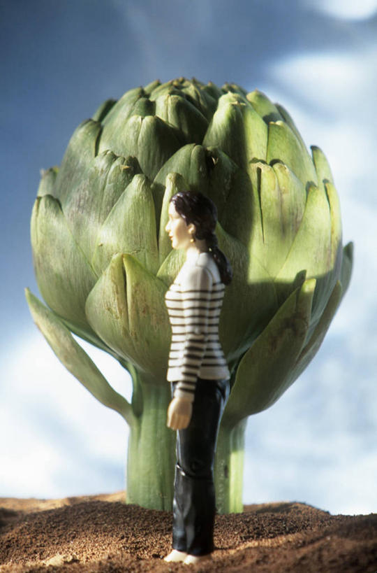 西方人,一个人,无人,站,竖图,室内,特写,白天,侧面,蔬菜,雕塑,欧洲,欧洲人,仅一个年轻女性,仅一个女性,仅一个人,阴影,新鲜,艺术,装饰,反射,雕刻,雕像,影子,朝鲜蓟,食品,食物,一个,工艺品,站着,洋蓟,有机食品,绿色食品,单个,纪念,美术,主题,陈列,功能,美学,年轻女性,女人,女性,白种人,站立,彩图,全身,菜蓟,法国百合,球洋蓟,蔬菜之皇,洋百合