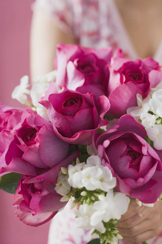 西方人,手,一个人,竖图,室内,特写,白天,正面,爱情,幸福,纯洁,热情,玫瑰,叶子,欧洲,欧洲人,仅一个年轻女性,仅一个女性,仅一个人,握,服装,朦胧,模糊,盛开,绿叶,玫瑰花,浪漫,拿,花蕾,拿着,花,花瓣,花朵,鲜花,衣服,粉色,白色,花苞,花蕊,温暖,温馨,手部,嫩叶,恩爱,握着,服饰,单手,和睦,衣着,穿着,感动,尊敬,衣饰,天真,刺玫花,徘徊花,年轻女性,女人,女性,白种人,叶,叶片,半身,彩图,融洽