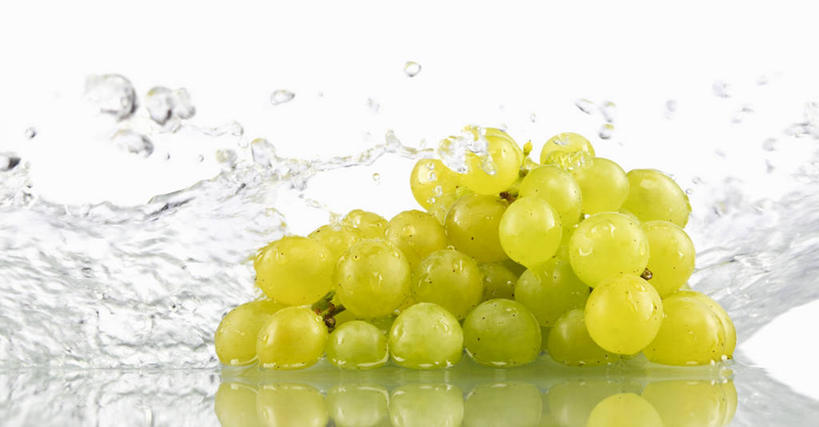 无人,横图,俯视,室内,特写,白天,白色背景,水,餐桌,桌子,葡萄,水果,一串,阴影,飞溅,新鲜,溅,反射,液体,影子,水滴,生食,食品,果实,水珠,食物,绿色,摄影,有机食品,绿色食品,影棚,餐台,喷洒,山葫芦,蒲桃,草龙珠,彩图,高角度拍摄,影棚拍摄,拍摄