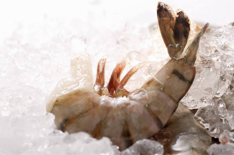 海鲜,无人,横图,俯视,室内,特写,白天,一堆,许多,堆叠,堆积,冰,虾,冰块,很多,冷冻,水产,大虾,海洋生物,寒冷,对虾,冷藏,堆,冰冷,水生动物,海产品,水生物,海底动物,斑节虾,保鲜,东方对虾,中国对虾,彩图,高角度拍摄