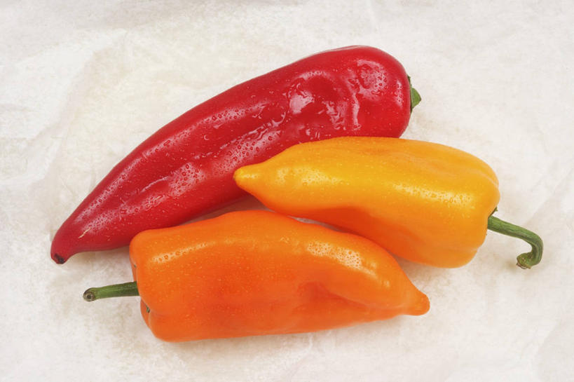 无人,横图,俯视,室内,特写,白天,白色背景,桌面,桌子,辣椒,蔬菜,阴影,新鲜,反射,木制,影子,食品,食物,三个,黄色,红色,木制品,橙色,摄影,有机食品,绿色食品,影棚,彩椒,辣角,红海椒,大椒,辣虎,广椒,甜椒,柿子椒,辣子,海椒,番椒,灯笼椒,彩图,高角度拍摄,影棚拍摄,拍摄