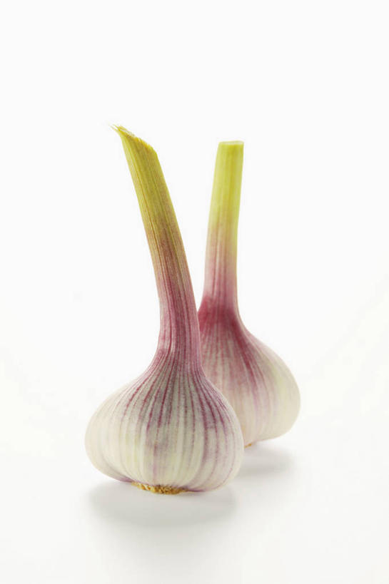 无人,竖图,俯视,室内,特写,白天,白色背景,餐桌,桌子,蔬菜,蒜,阴影,新鲜,反射,影子,食品,蒜头,食物,两个,摄影,有机食品,绿色食品,影棚,餐台,胡蒜,大蒜,彩图,高角度拍摄,影棚拍摄,拍摄