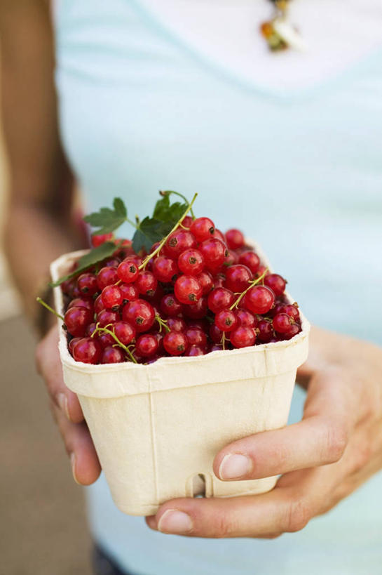 西方人,手,一个人,站,竖图,俯视,室内,特写,白天,浆果,水果,叶子,欧洲,欧洲人,双手,仅一个年轻女性,仅一个女性,仅一个人,一堆,许多,握,堆叠,堆积,服装,朦胧,模糊,新鲜,陶瓷,灯笼果,生食,食品,果实,绿叶,陶瓷制品,拿,拿着,休闲装,食物,一个,衣服,容器,碗,站着,休闲,手部,休闲服,嫩叶,握着,服饰,有机食品,绿色食品,单个,储藏,堆,储存,红醋栗,年轻女性,女人,女性,白种人,叶,叶片,醋栗,站立,半身,彩图,高角度拍摄,贮存