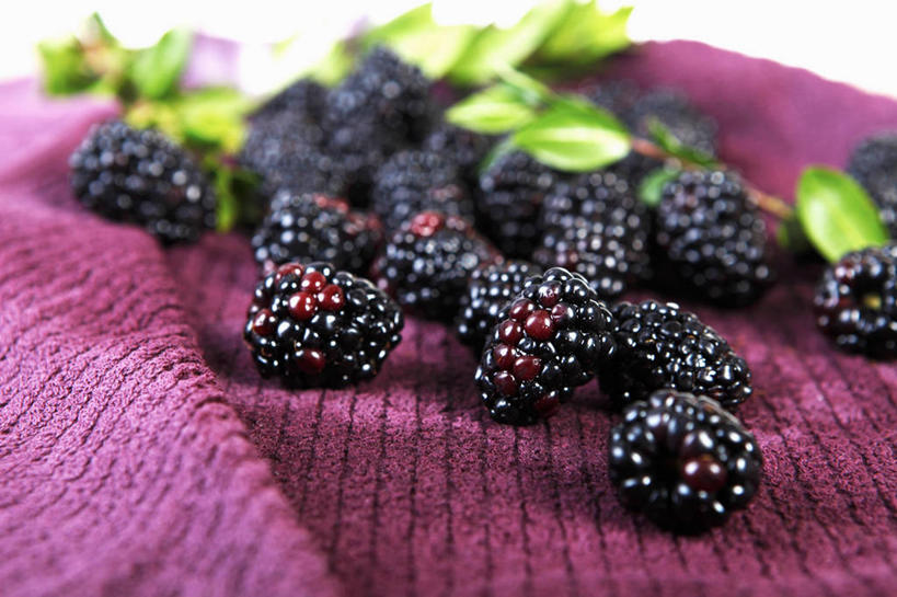 无人,横图,俯视,室内,特写,白天,白色背景,餐桌,桌子,黑莓,水果,叶子,一堆,许多,阴影,堆叠,堆积,朦胧,模糊,新鲜,反射,布料,影子,生食,食品,果实,绿叶,布纹,桌布,食物,紫色,餐巾,台布,嫩叶,摄影,有机食品,绿色食品,影棚,餐台,堆,露莓,叶,叶片,彩图,高角度拍摄,影棚拍摄,拍摄