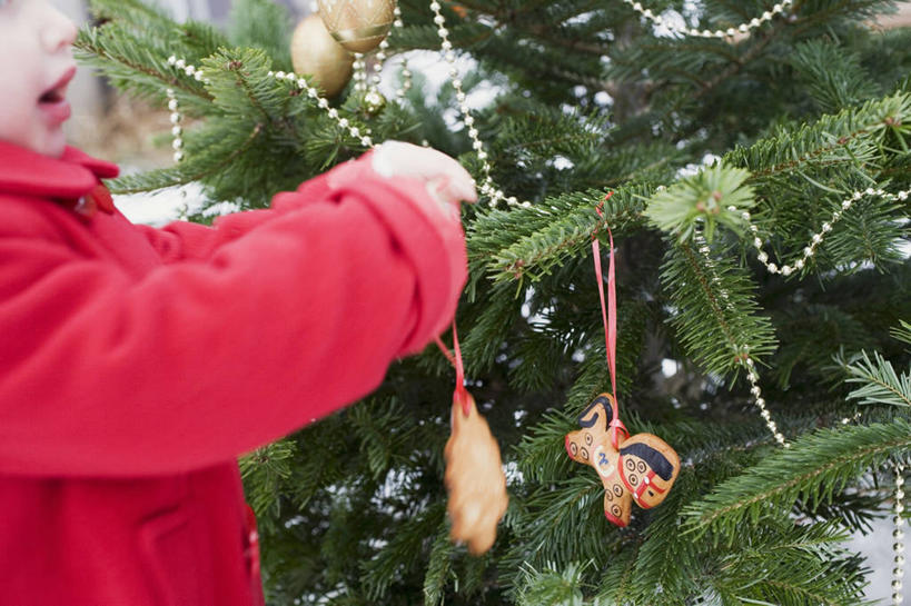 西方人,儿童,一个人,站,横图,室内,白天,侧面,纯洁,植物,叶子,欧洲,欧洲人,仅一个女性,仅一个人,握,阴影,服装,朦胧,模糊,装饰,反射,丝绸,丝带,影子,绿叶,圣诞树,缎带,注视,休闲装,绸带,树,树木,小孩,衣服,红色,绿色,自然,观察,看,站着,仅一个小孩,休闲,休闲服,嫩叶,可爱,童年,童趣,握着,服饰,冬青,生长,成长,观看,希望,华丽,修饰,点缀,察看,生命,关注,童真,烂漫,无邪,槲寄生,冻青,衬托,美观,雅致,雅观,丰饶,天真,女孩,女人,女性,白种人,孩子,叶,叶片,站立,半身,彩图,女生