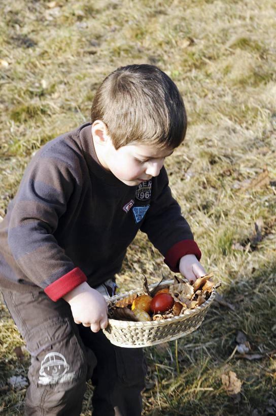 西方人,儿童,一个人,站,捧,交叉,竖图,俯视,室外,白天,纯洁,植物,竹子,欧洲,复活节,欧洲人,仅一个男性,仅一个人,弯腰,阴影,竹制,服装,节日,枯萎,庆祝,编织,光线,篮子,影子,蛋,枯草,注视,休闲装,文化,草,一个,小孩,衣服,黄色,阳光,竹篮,观察,看,站着,仅一个小孩,庆典,休闲,休闲服,可爱,童年,童趣,服饰,单个,观看,纪念,竹条,交织,察看,竹制品,关注,彩蛋,童真,烂漫,无邪,复活节彩蛋,弯身,穿插,天真,男孩,男人,男性,白种人,孩子,端,端着,捧着,手捧,站立,半身,彩图,高角度拍摄,男生