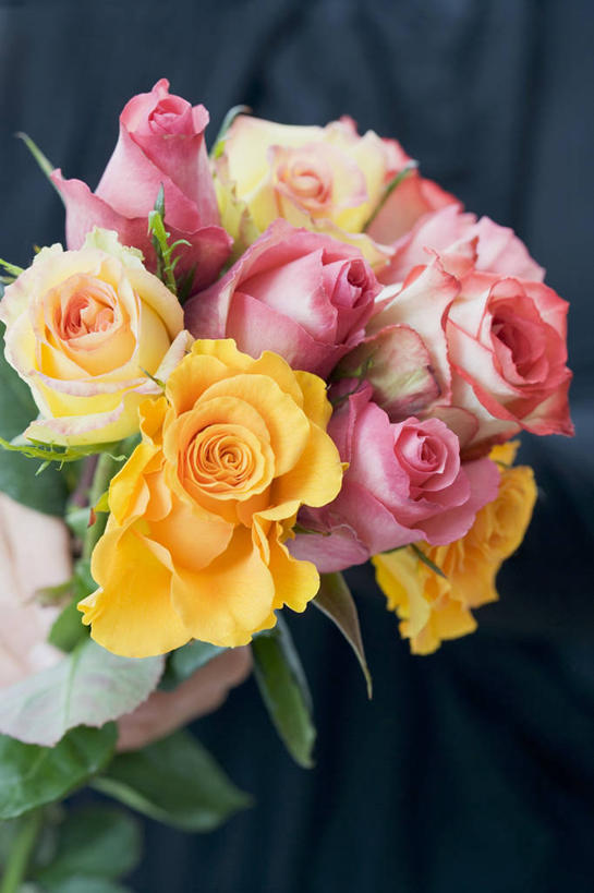 西方人,手,一个人,站,竖图,俯视,室内,特写,白天,爱情,幸福,纯洁,智慧,热情,玫瑰,欧洲,欧洲人,仅一个男性,仅一个人,握,服装,艺术,装饰,盛开,玫瑰花,浪漫,拿,花蕾,拿着,休闲装,文化,花,花瓣,花朵,鲜花,仅一个年轻男性,衣服,插花,花苞,花蕊,站着,休闲,温暖,温馨,手部,休闲服,恩爱,握着,服饰,单手,华丽,修饰,插花艺术,点缀,和睦,创造,创作,感动,想象,衬托,美观,雅致,雅观,尊敬,天真,刺玫花,徘徊花,男人,男性,年轻男性,白种人,站立,半身,彩图,高角度拍摄,融洽