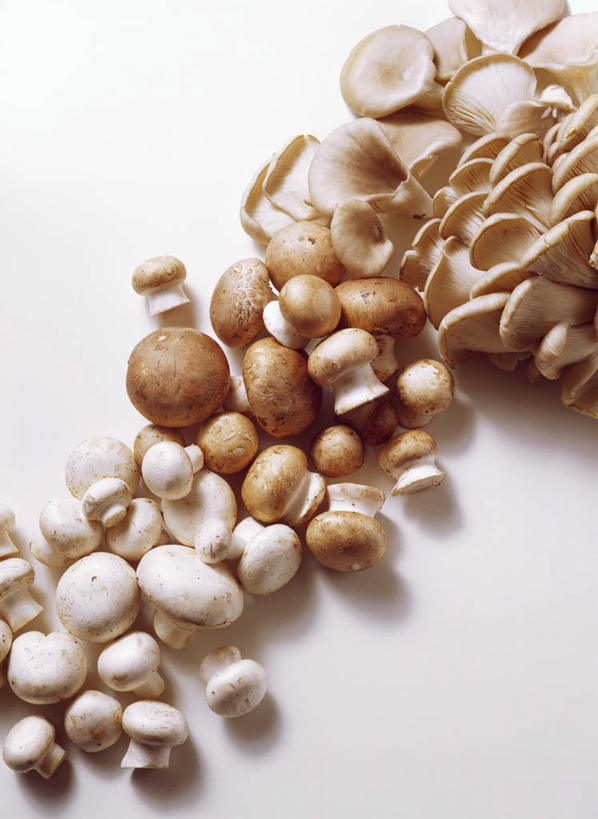 无人,竖图,俯视,室内,特写,白天,白色背景,餐桌,桌子,蔬菜,一堆,许多,阴影,堆叠,堆积,新鲜,反射,影子,菌菇,蘑菇,食品,很多,菌类,食物,白色,食用菌,摄影,有机食品,绿色食品,影棚,餐台,堆,白蘑菇,洋蘑菇,草腐菌,二孢蘑菇,双孢蘑菇,彩图,高角度拍摄,影棚拍摄,拍摄