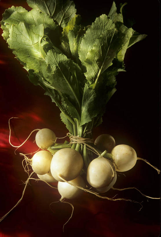 无人,竖图,俯视,室内,特写,白天,餐桌,桌子,萝卜,白萝卜,蔬菜,叶子,一堆,许多,阴影,堆叠,堆积,新鲜,反射,影子,食品,绿叶,很多,食物,绿色,白色,嫩叶,有机食品,绿色食品,餐台,堆,叶,叶片,莱菔,彩图,高角度拍摄