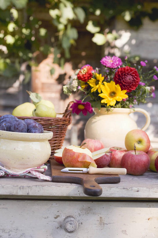 无人,竖图,俯视,室内,特写,白天,植物,桌面,桌子,苹果,梨,李子,水果,阴影,朦胧,模糊,新鲜,盛开,反射,木制,盆栽,影子,生食,食品,果实,案板,盆景,花蕾,砧板,花,花瓣,花朵,鲜花,食物,绿色,自然,木制品,花苞,花蕊,香梨,有机食品,绿色食品,生长,成长,红李,鸡血李,杏李,生梨,彩图,高角度拍摄