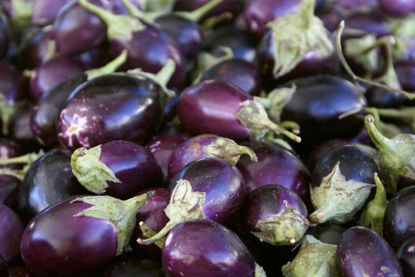 无人,横图,俯视,室内,特写,白天,茄子,蔬菜,一堆,许多,阴影,堆叠,堆积,朦胧,模糊,新鲜,反射,影子,食品,食物,紫色,有机食品,绿色食品,堆,落苏,酪酥,昆仑瓜,矮瓜,彩图,高角度拍摄