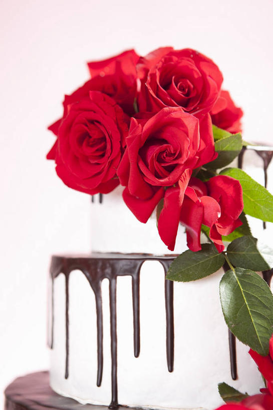 点心,无人,竖图,室内,特写,白天,白色背景,正面,爱情,幸福,纯洁,热情,餐桌,桌子,玫瑰,阴影,盛开,反射,影子,食品,糖,糖果,甜点,甜品,玫瑰花,婚礼蛋糕,浪漫,花蕾,花,花瓣,花朵,鲜花,食物,糕点,红色,甜食,巧克力,花苞,花蕊,温暖,温馨,恩爱,摄影,影棚,餐台,朱古力,和睦,感动,尊敬,天真,刺玫花,徘徊花,彩图,影棚拍摄,拍摄,融洽,蛋糕,结婚蛋糕