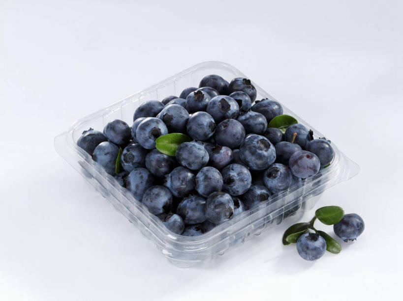 无人,横图,俯视,室内,特写,白天,白色背景,桌面,桌子,浆果,蓝莓,水果,叶子,一堆,许多,阴影,堆叠,堆积,新鲜,反射,木制,影子,塑料,生食,食品,果实,绿叶,盒子,食物,一个,木制品,容器,塑料制品,嫩叶,摄影,有机食品,绿色食品,影棚,单个,储藏,堆,储存,叶,叶片,山都柿,蓝浆果,蓝靛果,彩图,高角度拍摄,影棚拍摄,拍摄,贮存