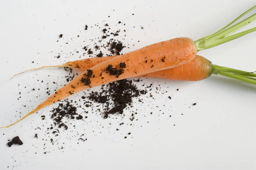 无人,横图,俯视,室内,特写,白天,白色背景,桌面,桌子,萝卜,胡萝卜,蔬菜,叶子,阴影,新鲜,反射,木制,影子,泥土,土壤,食品,绿叶,食物,两个,木制品,橙色,嫩叶,摄影,有机食品,绿色食品,影棚,叶,叶片,红萝卜,甘荀,彩图,高角度拍摄,影棚拍摄,拍摄