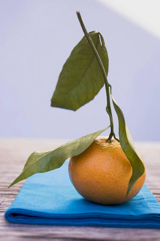 无人,竖图,俯视,室外,特写,白天,餐桌,桌子,柑橘,水果,叶子,阴影,新鲜,反射,布料,影子,生食,食品,果实,绿叶,布纹,桌布,食物,一个,蓝色,餐巾,台布,橙色,嫩叶,有机食品,绿色食品,单个,餐台,叶,叶片,橘子,桔子,橙子,橙,彩图,高角度拍摄