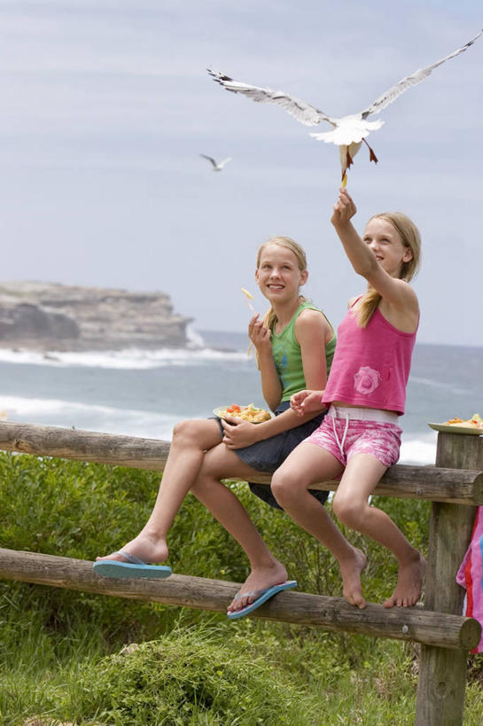 西方人,儿童,两个人,家庭,栏杆,坐,举,笑,微笑,露齿笑,竖图,室外,白天,正面,纯洁,草地,草坪,海浪,海洋,沙滩,植物,海鸟,海鸥,鸟,欧洲,欧洲人,伸展,张开,展翅,阴影,服装,光线,木制,翅膀,鸟类,沙子,影子,海岸,浪花,云,云朵,围栏,沙地,云彩,注视,休闲装,护栏,草,一只,小孩,衣服,蓝色,绿色,白云,蓝天,天空,阳光,海水,木制品,天,观察,看,托,休闲,温暖,温馨,一家人,休闲服,可爱,童年,童趣,服饰,晴朗,观看,和睦,察看,关注,海景,童真,烂漫,无邪,张开翅膀,展开翅膀,天真,女孩,女人,女性,白种人,大海,风浪,海,海水的波动,海滩,近岸浪,涌浪,晴空,举起,举手,举着,向上举,向上伸,向上托,坐着,彩图,全身,融洽,女生