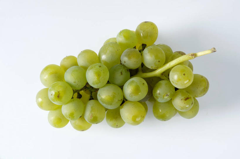 无人,横图,俯视,室内,特写,白天,白色背景,桌面,桌子,葡萄,水果,一串,阴影,新鲜,反射,木制,影子,生食,食品,果实,食物,绿色,木制品,摄影,有机食品,绿色食品,影棚,山葫芦,蒲桃,草龙珠,彩图,高角度拍摄,影棚拍摄,拍摄