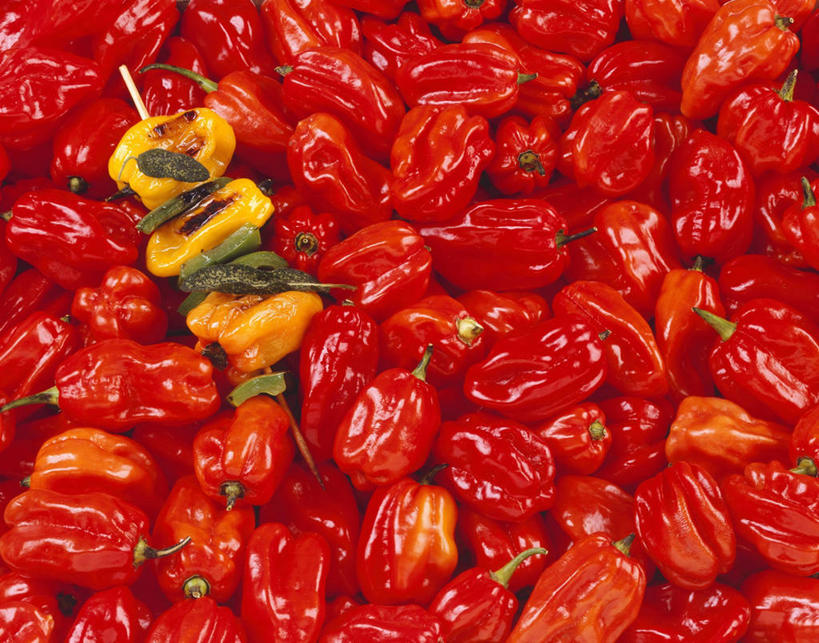 无人,横图,俯视,室内,特写,白天,烧烤,桌面,桌子,辣椒,蔬菜,一堆,许多,阴影,堆叠,堆积,新鲜,反射,木制,影子,肉,食品,很多,肉类,竹签,食物,红色,木制品,有机食品,绿色食品,堆,肉食,辣角,红海椒,大椒,辣虎,广椒,取食签,辣子,红辣椒,海椒,番椒,彩图,高角度拍摄