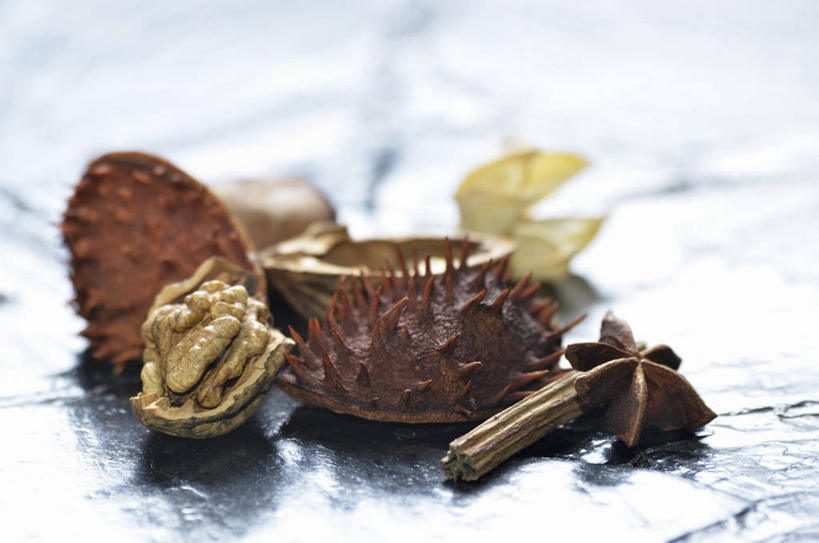 无人,横图,俯视,室内,特写,白天,植物,桌面,桌子,阴影,朦胧,模糊,反射,木制,影子,核桃,板栗,调味,栗子,香料,佐料,坚果,果实,毛栗子,草药,药草,肉桂,中药,木制品,干果,配料,药材,中草药,桂皮,茴芹,胡桃,中药材,本草,作料,官桂,牡桂,筒桂,香桂,玉桂,羌桃,毛栗,栗果,栗楔,鹅脚板,异叶茴芹,彩图,高角度拍摄