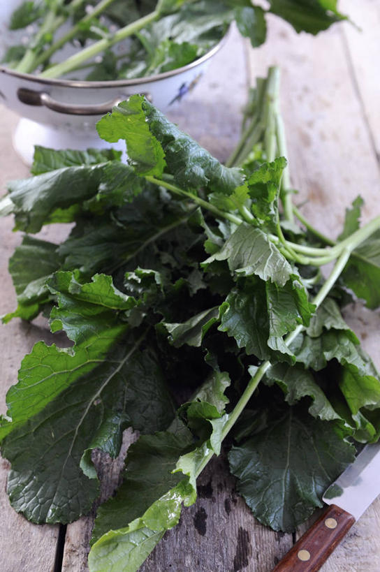 无人,竖图,俯视,室内,特写,白天,餐桌,桌子,萝卜,白萝卜,蔬菜,叶子,阴影,朦胧,模糊,新鲜,反射,影子,食品,绿叶,食物,绿色,嫩叶,有机食品,绿色食品,餐台,叶,叶片,莱菔,彩图,高角度拍摄