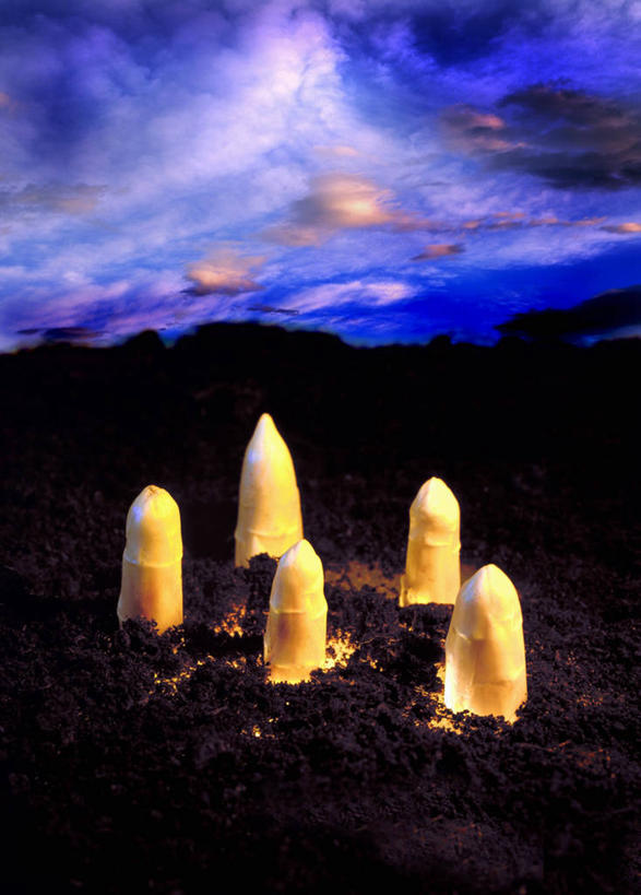 无人,农田,竖图,室外,夜晚,正面,庄稼,农作物,芦笋,蔬菜,五个,许多,新鲜,云,云朵,食品,云彩,食物,蓝色,白云,蓝天,天空,天,有机食品,绿色食品,猪尾巴,药鸡豆子,石刁柏,蚂蚁杆,龙须菜,狼尾巴根,彩图,耕地,庄稼田