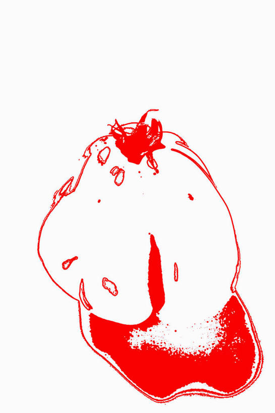 无人,竖图,俯视,室内,特写,白天,白色背景,绘画,餐桌,桌子,蔬菜,西红柿,阴影,新鲜,反射,影子,食品,食物,摄影,有机食品,绿色食品,影棚,餐台,番茄,彩图,高角度拍摄,影棚拍摄,拍摄